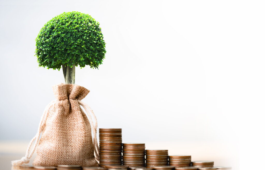 Finanzierung Nachhaltigkeit Förderprogramme