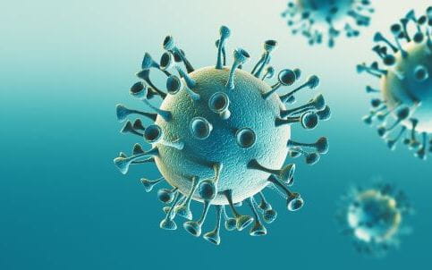 Coronavirus_ Aldeca Productions AdobeStock