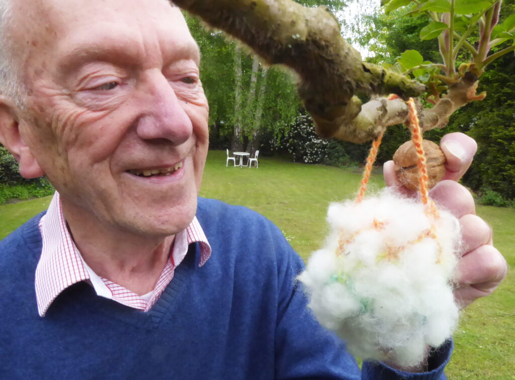 Senior im Garten betrachtet neugierig einen Schafwollball